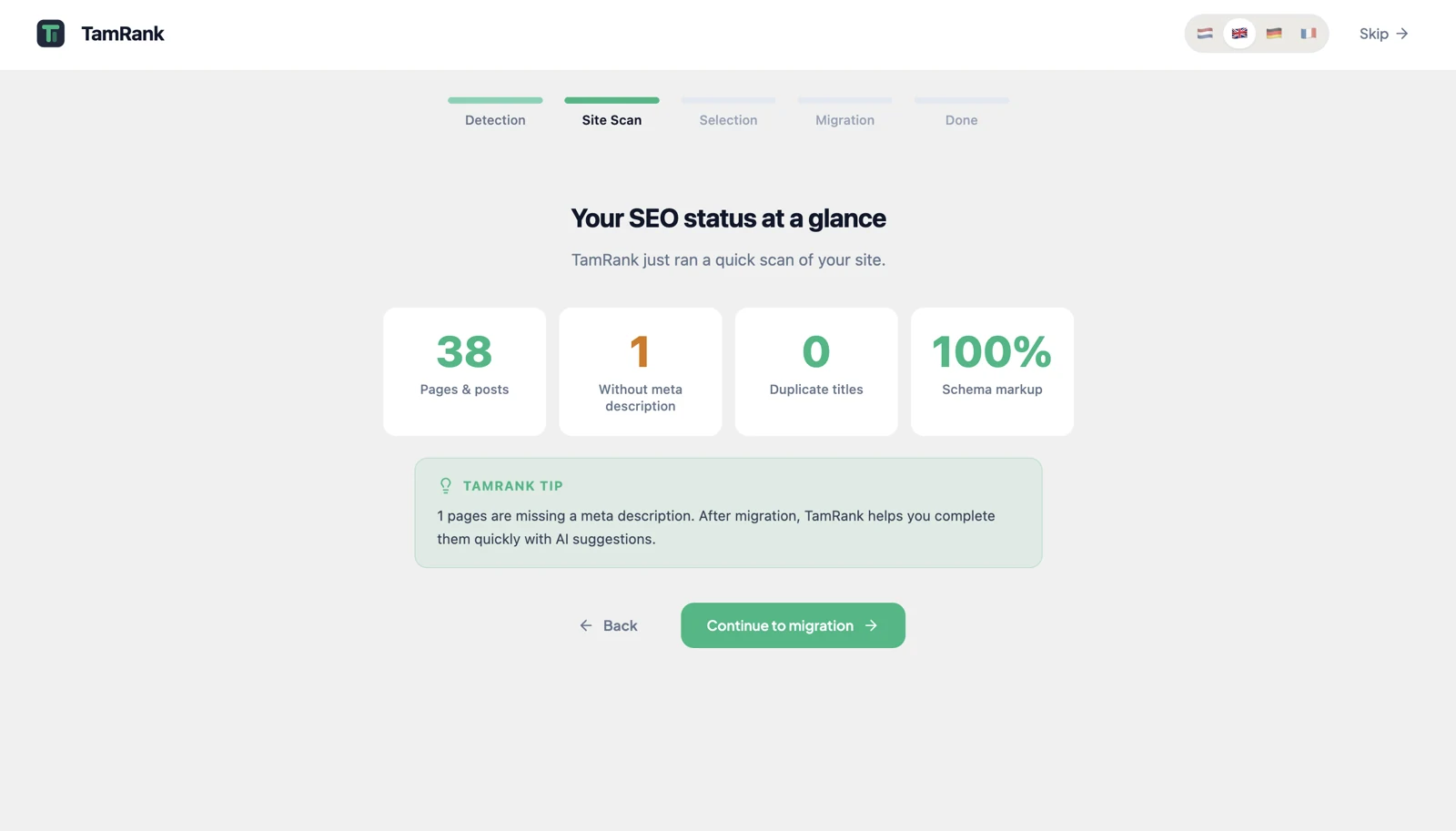 TamRank first-time setup wizard running the initial site scan